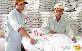 Xây dựng cơ chế phân giao hạn ngạch thuế quan nhập khẩu đường